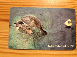 Phonecard Sweden - Bird, Duck - Suède