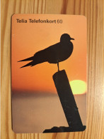 Phonecard Sweden - Bird, Sunset - Suède