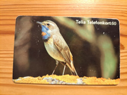 Phonecard Sweden - Bird - Zweden