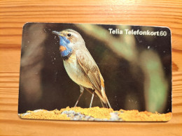 Phonecard Sweden - Bird - Schweden