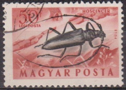 Faune - Insectes - HONGRIE - Grand Capricorne - N° 162 - 1954 - Usado