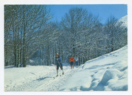 Les Pyrénées Sous La Neige - Sur La Piste De Fond - Midi-Pyrénées