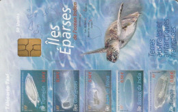 PHONE CARD TAAF  (E7.3.7 - TAAF - French Southern And Antarctic Lands