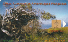 PHONE CARD TAAF  (E7.4.4 - TAAF - Territori Francesi Meridionali