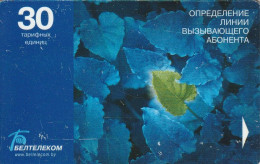 PHONE CARD BIELORUSSIA  (E8.10.3 - Belarus