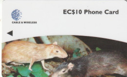 PHONE CARD DOMINICA  (E8.6.2 - Dominica