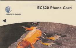 PHONE CARD DOMINICA  (E8.5.5 - Dominica