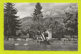 74 BOUT Du LAC Hôtel Restaurant SAUTEREAU Terrasse Cygnes Tél Le 2 à DOUSSARD En 1956 VOIR DOS - Doussard