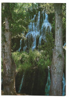 CASCADA DE LOS CHORREADORES.- MONASTERIO DE PIEDRA.- ( ZARAGOZA ). - Zaragoza