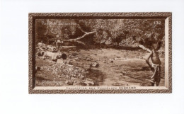 Chromo DAHOMEY 132 Paysage Dahoméen AOF Colonies Françaises Afrique Chocolat Suchard TB 139 X 59 Mm 2 Scans - Suchard