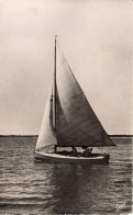 ARCACHON - Regates - Sailing