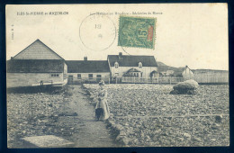 Cpa Iles De St Pierre Et Miquelon -- Habitations Houduce -- Sècheries De Morue    STEP36 - Saint-Pierre-et-Miquelon