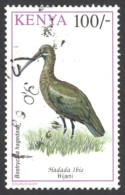 Kenya Sc# 610 Used 1993-1999 100sh Birds - Kenya (1963-...)