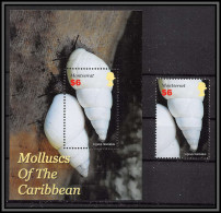 80684a Montserrat Mi N°106 + Timbre Molluscs Of The Caribbean Coquillages Shell CONCHAS Mollusques 2005 ** MNH - Schalentiere