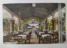 Chemnitz-Schönau, Restaurant Wintergarten, Krystall-Palast, 1911 - Chemnitz