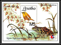 80855 Lesotho Mi N°114 Rana Nigromaculatus  Philakorea 1994 Palpebrosa Gérygone Grenouilles Frogs ** MNH Oiseaux Birds - Lesotho (1966-...)