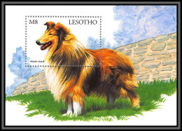 80953 Lesotho Mi BF N°133 Rough Collie Colley Chien Chiens Dod Dogs TB Neuf ** MNH Animaux Animals 1999 - Lesotho (1966-...)