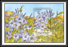 81003 Lesotho Y&t BF N°104 Leadwort Plumbago Dentelaire TB Neuf ** MNH Fleur Flowers Flower Fleurs 1993 - Lesotho (1966-...)