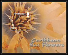 81013 Montserrat N° Tube Dwelling Anemone Ceriantharia TB Neuf ** MNH Fleur Caribbean Sea Flowers Flower Fleurs 2006 - Montserrat