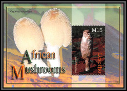 81126 Lesotho Y&t BF N°206 TB Neuf ** MNH Champignons Mushrooms Funghi Pilze 2007 - Lesotho (1966-...)