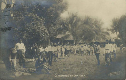 GUATEMALA CARRETEROS EN UNA FINCA REAL PHOTO 1907 - Guatemala