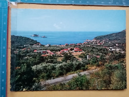 029-95 - PETROVAC NA MORU, MONTENEGRO, -  0,29 Euro, - Montenegro