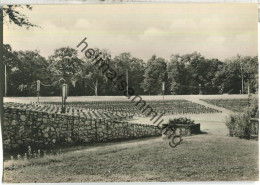 Berlin - Treptow - Plänterwald - Freilichtbühne - Foto-Ansichtskarte - Verlag VEB Postkartenverlag Berlin - Treptow