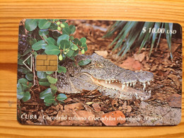 Phonecard Cuba, Etecsa - Crocodile - Cuba