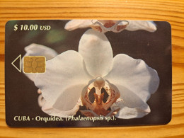 Phonecard Cuba, Etecsa - Flower - Cuba