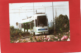 TRAMWAY--SAINT-ETIENNE--Motrice Vevey-Alsthom Série 901-915---voir 2 Scans - Tramways