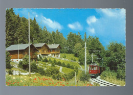 CPSM - Suisse - St. Cergue - Chemin De Fer Nyons-St. Cergue - La Cure - Morez - Circulée En 1972 - Saint-Cergue