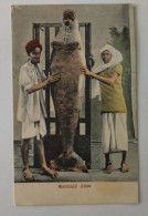 Aden, Mermaid, Seal With Veil, Robbe, Jemen, 1920 - Jemen