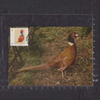 [Carte Maximum / Maximum Card /  Maximumkarte]  Isle Of Man 2016 | Pheasant, Game Bird - Eenden