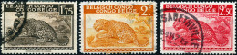 CONGO BELGA, BELGIAN CONGO, FAUNA, LEOPARDO, 1942, FRANCOBOLLI USATI Scott: 199-200 - Usati