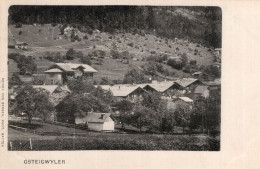 GSTEIGWYLER - CARTOLINA FP NON SPEDITA - Gsteigwiler