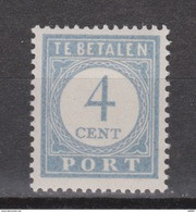 NVPH Nederland Netherlands Pays Bas Holanda 49 MNH ; Port Timbre-taxe Postmarke Sellos De Correos NOW MANY DUE STAMPS - Taxe
