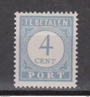 NVPH Nederland Netherlands Pays Bas Holanda 49 MNH ; Port Timbre-taxe Postmarke Sellos De Correos NOW MANY DUE STAMPS - Portomarken