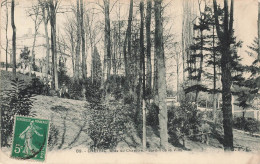 FRANCE - Créteil - Bras Du Chapitre - Jardin De La Ville - Carte Postale Ancienne - Creteil