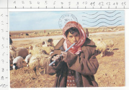 Sheepherder With His Pipe In Jordan Desert - Jordanie