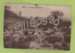 CP ANIMEE A LOCALISER LE LIMOUSIN ILLUSTRE - TROUPEAU DE MOUTONS - HIRONDELLE N° 19 - ECRITE - Limousin