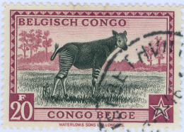 CONGO BELGA, BELGIAN CONGO, FAUNA, OKAPI, 20 Fr., 1942, FRANCOBOLLI USATI Scott:BE-CD 225, Yt:BE-CD 246 - Gebruikt