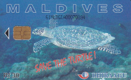 MALEDIVEN - Maldiven