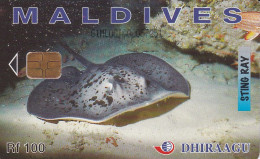 MALEDIVEN - Maldivas