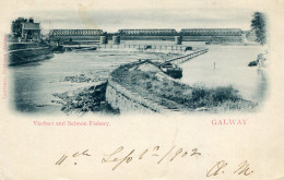 842  GALWAY Viaduct And Salmon Fishery , Lawrence, Publissher, Dublin. - Andere & Zonder Classificatie