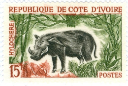 COSTA D’AVORIO, IVORY COAST, FAUNA, MAMMIFERI, 1964, FRANCOBOLLI USATI Mi:CI 263, Scott:CI 206, Yt:CI 216 (0,60) - Oblitérés