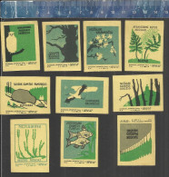 NATURE PROTECTION & CONSERVATION - OLD MATCHBOX LABELS LITHUANIA 1959 - Boites D'allumettes - Etiquettes