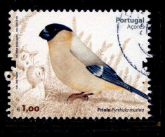 ! ! Portugal - 2008 Priolo Bird - Af. 3703 - Used - Usado