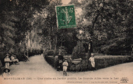 Montélimar (Drôme) Une Visite Au Jardin Public, La Grande Allée Vers Le Lac - Edition Lang Fils - Carte Lux N° 38 - Montelimar