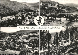 41261832 Altenbrak Harz Hexe Besen Kuehe Altenbrak - Altenbrak