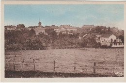 CPA 70 -Haute Saône) VAUVILLERS / VUE GENERALE - Vauvillers